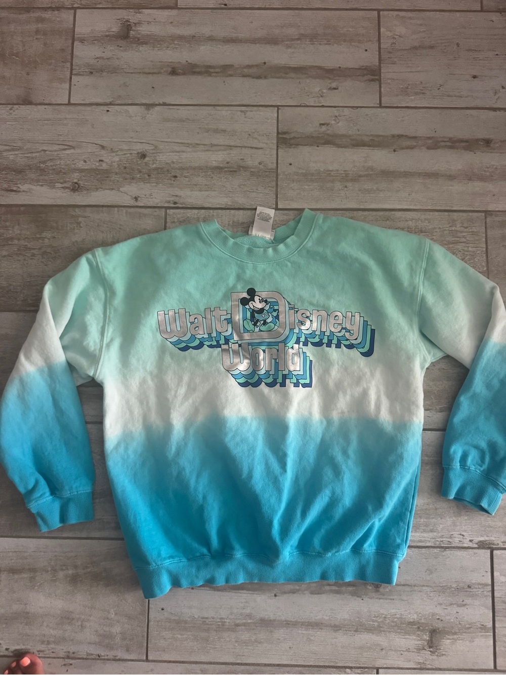 Disney Aqua Ombre Crewneck Sweatshirt